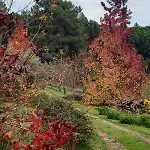 Gesillas Country house Arenas de San Pedro
