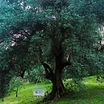 Country house Gesillas *