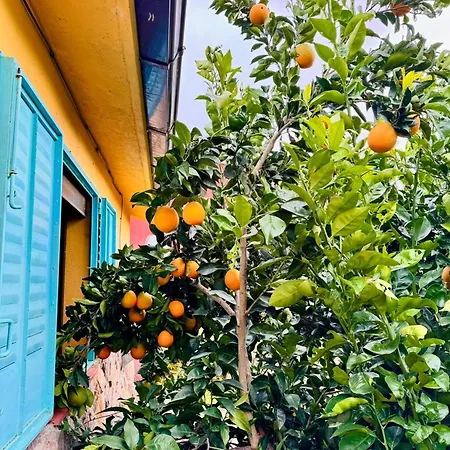 Gesillas Hétvégi ház *