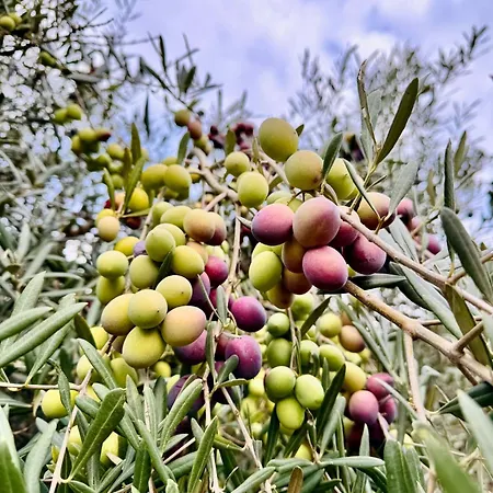 Hétvégi ház Gesillas *