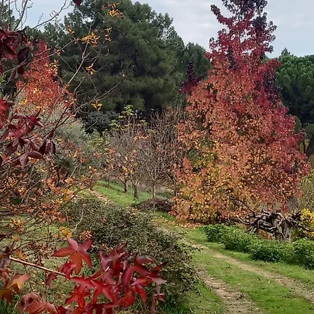 Gesillas Hétvégi ház Arenas de San Pedro