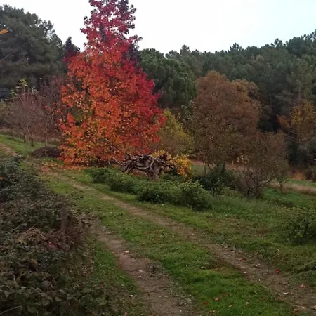Country house Gesillas Arenas de San Pedro