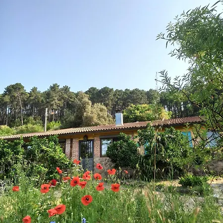 Gesillas Country house Arenas de San Pedro