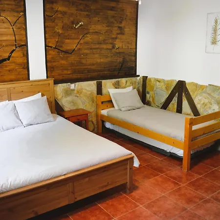 Gesillas * Arenas de San Pedro