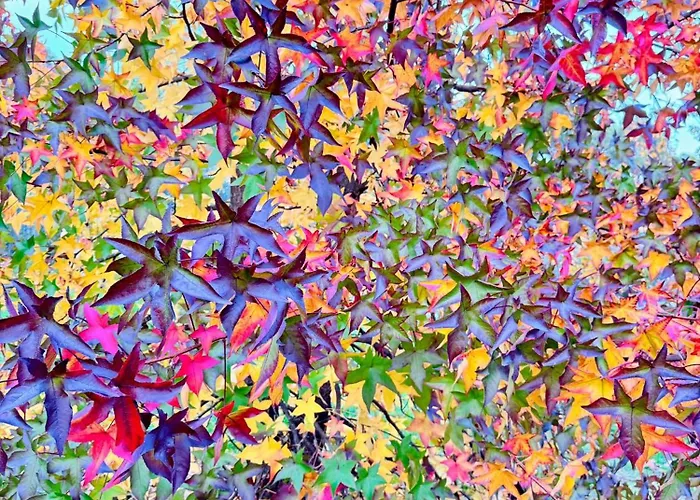 Gesillas Arenas de San Pedro