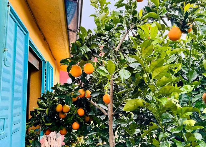 Gesillas Séjour à la campagne *