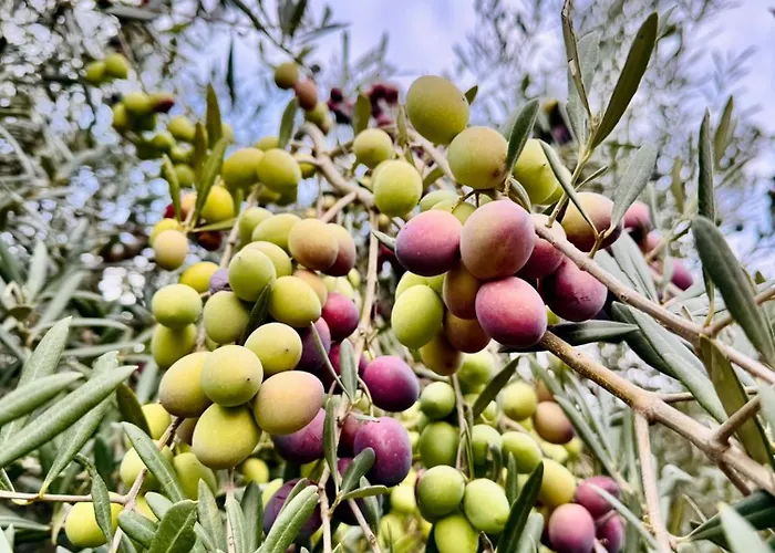 Séjour à la campagne Gesillas *