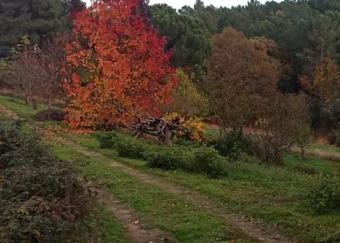 Séjour à la campagne Gesillas Arenas de San Pedro