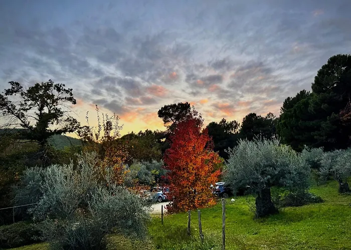 Séjour à la campagne Gesillas *